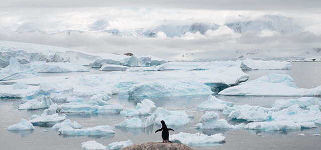 Antarctica 2016