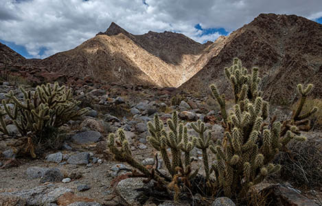 Anza Borrego '18