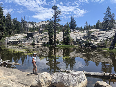 Carson Pass 