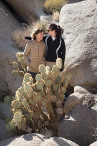 Joshua Tree 2014