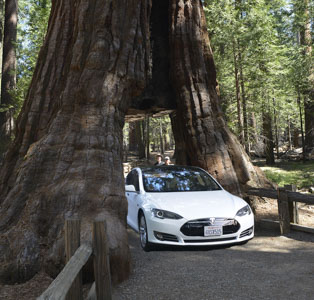 Yosemite 2013